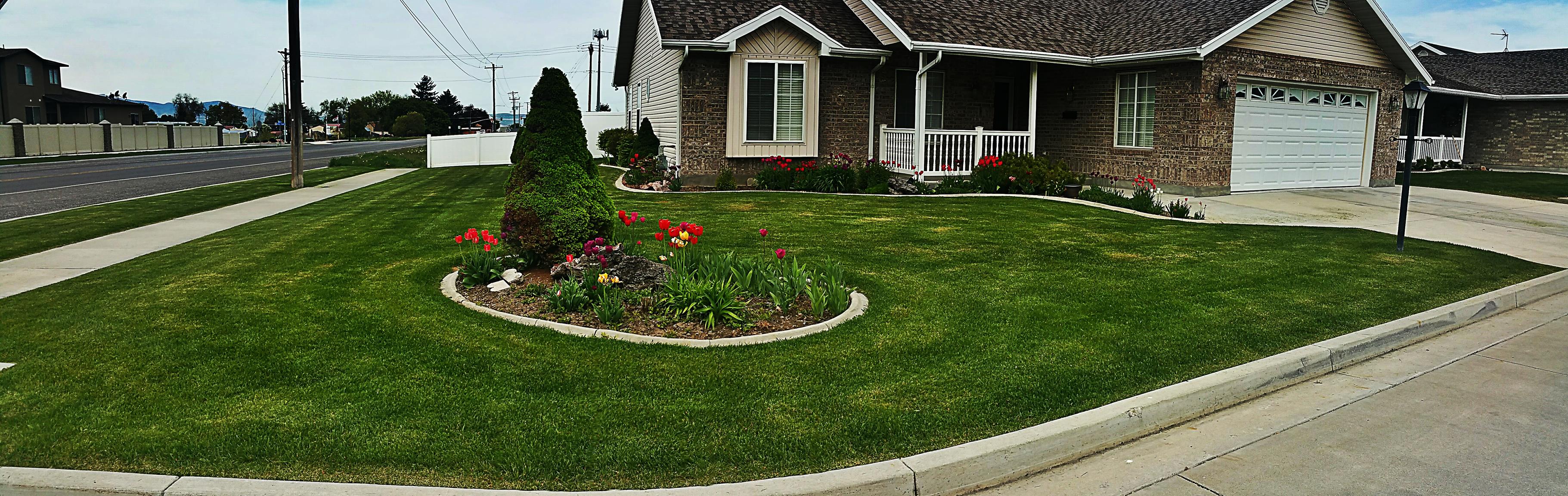 front yard with island of flowers in the middle