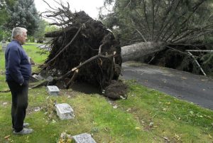 storm damage in Cache Valley cemetary