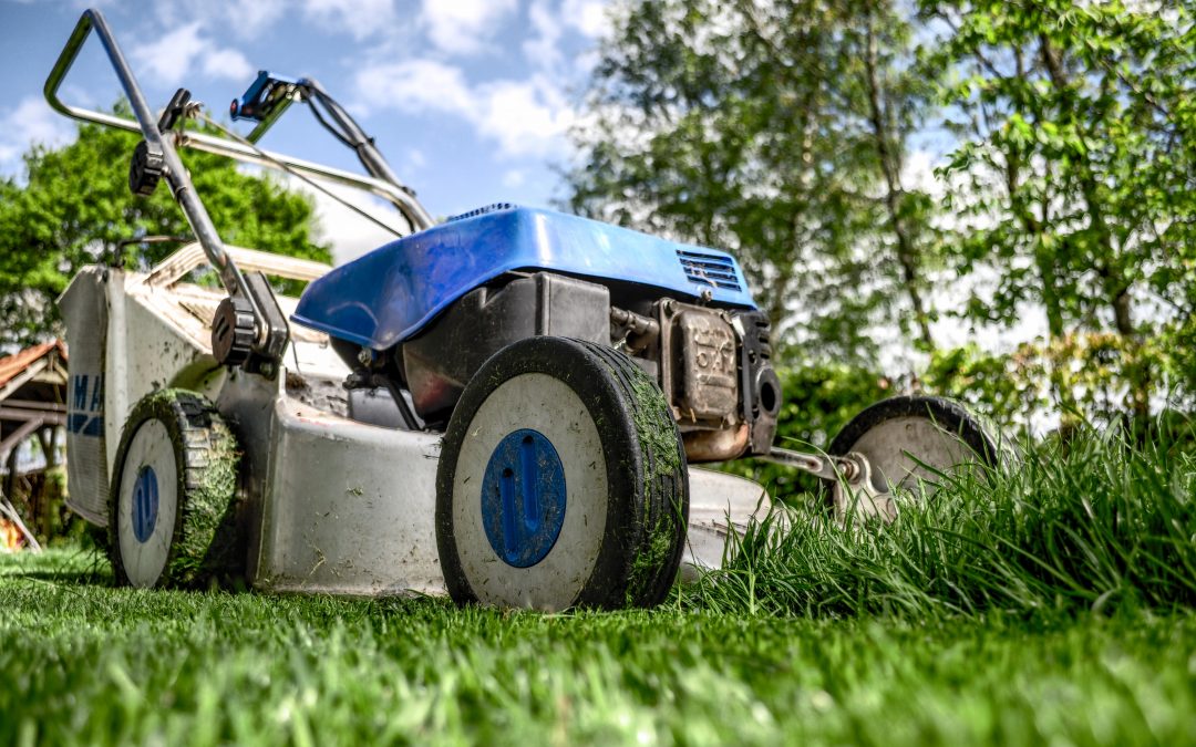 rental property lawn care